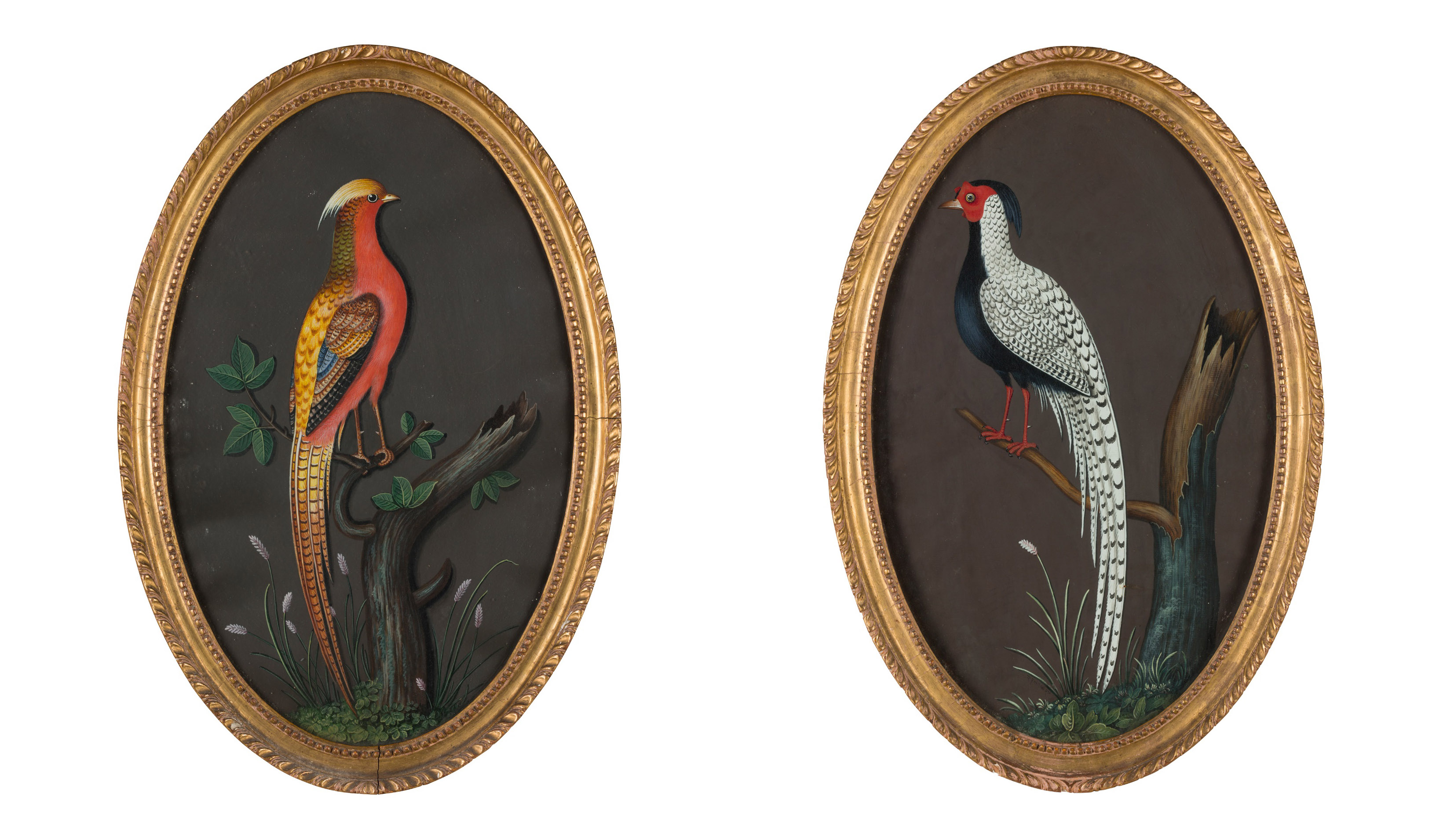 LOT 89 | PETER PAILLOU | CHINESE PHEASANT